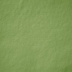 Corano Cipatex DT - Verde Musgo 3170