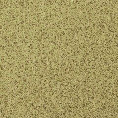 Capacho Vinil Bege Por Metro - 1,20m de Largura (SIIM)