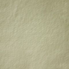 Corano Cipatex DT - Bege 2802