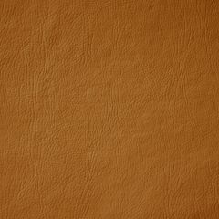 Corano Cipatex DT - Camel Rennes 3142