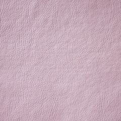 Corano Cipatex DT - Rosa 2516