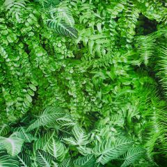 Vinil Adesivo Alltak Decor - Jardim Vertical 1,22m