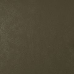 Tecido Sintético Facto Premium Argo 1.0 - Verde Claro 640685