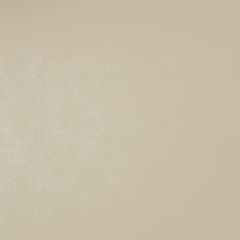 Tecido Sintético Facto Premium Argo 1.0 - Marfim 621173