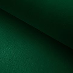  TNT - Peça 50m - Gramatura 40 - Verde Bandeira