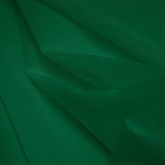  TNT - Peça 50m - Gramatura 40 - Verde Bandeira